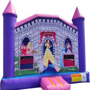 Château princess disney