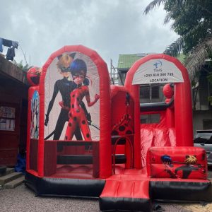 Château miraculous ladybug