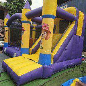 Pat Patrouille (Marcus)